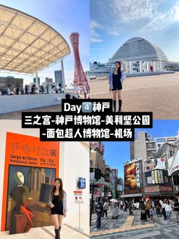 🔥暴走4天狂刷20+景点！大阪深度游路线直接抄作业（附避坑指南+私藏机位📸）：文章配图 8