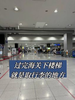 🔥大阪关西机场极速通关攻略｜手把手带你飙车式入境！落地45分钟冲进市区🍜：文章配图 4