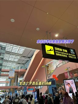 🌟关西机场进市区保姆级图文攻略！手把手教你轻松搞定日本电车！：文章配图 2