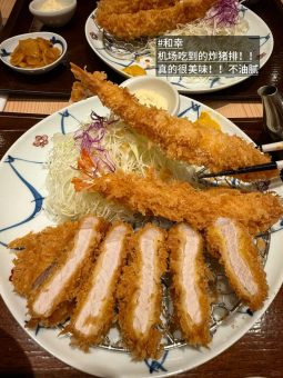 🇯🇵大阪真心推荐的9️⃣家小店（附关西机场T1入境后快速干饭攻略）落地关西机场T1的吃货们注意！跟着这份「通关+干饭」全攻略，边入境边锁定美食，省时又省心：文章配图 6