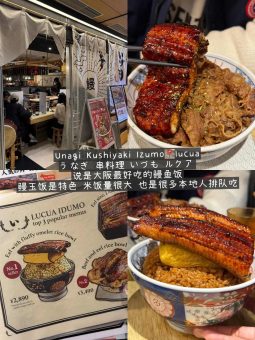🌸大阪真是太好吃！！！美食通关全攻略​​：文章配图 6