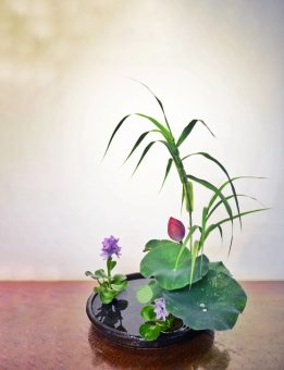 日本花道竟是古代“海王”的恋爱密码本？！一盆花看出谁是真爱，谁是备胎！：文章配图 4