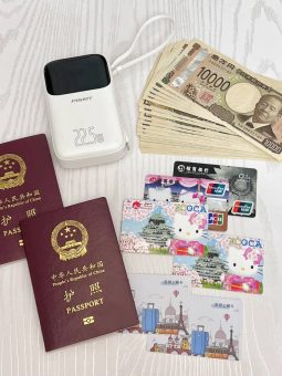 🔥关西机场1分钟极速通关攻略｜连行李箱滚轮都追不上的丝滑教程！：文章配图 1