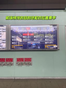 🌟2025最新版｜日本关西机场丝滑出关全流程攻略！手把手带你10分钟通关+上车🚌：文章配图 8