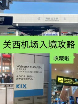 🌸日本关西机场入境全攻略｜不会日语也能丝滑通关！手把手教学+避坑指南🌸：文章配图 1