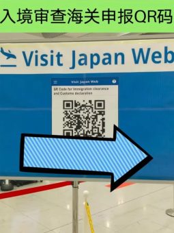 🌸日本关西机场入境全攻略｜不会日语也能丝滑通关！手把手教学+避坑指南🌸：文章配图 9