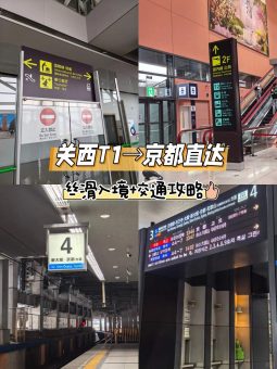 关西机场T1→京都懒人攻略！入境+交通丝滑到想哭✨​​：文章配图 1