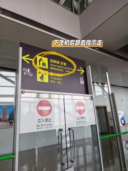 关西机场T1→京都懒人攻略！入境+交通丝滑到想哭✨​​：文章配图 2