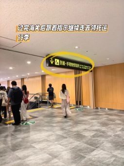 关西机场T1→京都懒人攻略！入境+交通丝滑到想哭✨​​：文章配图 5