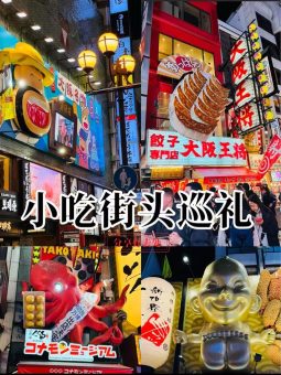 ✨ 大阪VLOG | 闯入动漫世界! 🐙 道頓堀夜游 & 美食巡礼 ✨：文章配图 1