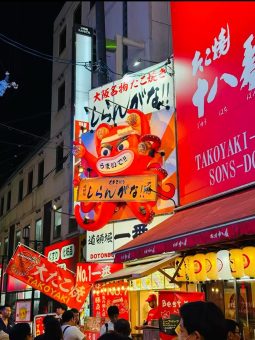 ✨ 大阪VLOG | 闯入动漫世界! 🐙 道頓堀夜游 & 美食巡礼 ✨：文章配图 6