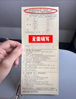 日本🇯🇵大阪关西机场T1入境过关攻略，超简单！：文章配图 6