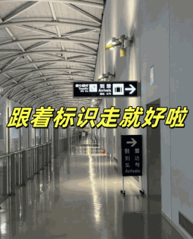 日本🇯🇵大阪关西机场T1入境过关攻略，超简单！：文章配图 4