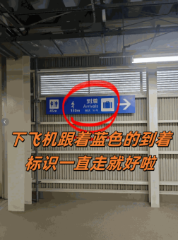 2025最新！关西机场T2落地不迷路！15分钟丝滑入境保姆攻略​​：文章配图 2