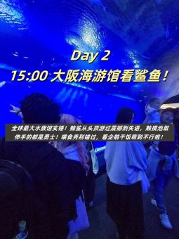 救命！大阪真的太好拍了！暴走2w步总结的保姆级攻略（附私藏机位）📸​​：文章配图 7