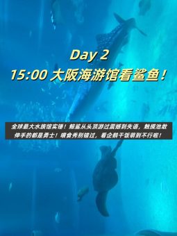 救命！大阪真的太好拍了！暴走2w步总结的保姆级攻略（附私藏机位）📸​​：文章配图 9