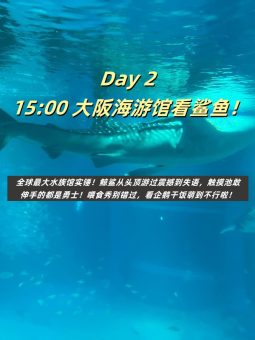 救命！大阪真的太好拍了！暴走2w步总结的保姆级攻略（附私藏机位）📸​​：文章配图 8