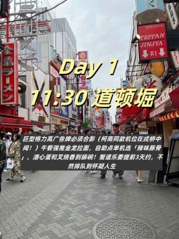 救命！大阪真的太好拍了！暴走2w步总结的保姆级攻略（附私藏机位）📸​​：文章配图 2