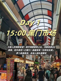 救命！大阪真的太好拍了！暴走2w步总结的保姆级攻略（附私藏机位）📸​​：文章配图 3