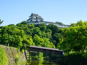 关西5城一篇搞定！大阪、京都、神户、奈良、和歌山，N刷不腻！✨：文章配图 6