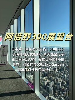 🍡 ​​大阪暴走地图｜6大必玩景点深度解析！本地博主私藏玩法大公开​​：文章配图 4