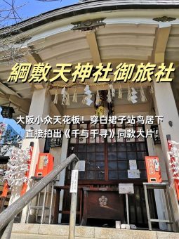 🍡 ​​大阪暴走地图｜6大必玩景点深度解析！本地博主私藏玩法大公开​​：文章配图 6