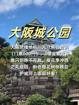 🍡 ​​大阪暴走地图｜6大必玩景点深度解析！本地博主私藏玩法大公开​​：文章配图 1