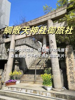 🍡 ​​大阪暴走地图｜6大必玩景点深度解析！本地博主私藏玩法大公开​​：文章配图 5