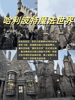 ✨​​大阪环球影城｜2025全网爆火项目！不赶时间也能刷遍神级体验​​✨：文章配图 3
