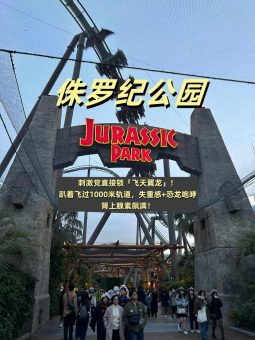 ✨​​大阪环球影城｜2025全网爆火项目！不赶时间也能刷遍神级体验​​✨：文章配图 5
