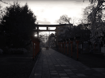 京都一梦，浮世万千皆是温柔与诗意 ✨：文章配图 3