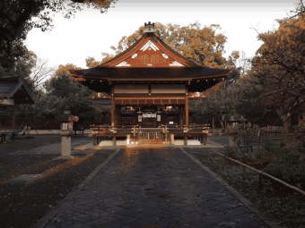 京都一梦，浮世万千皆是温柔与诗意 ✨：文章配图 4