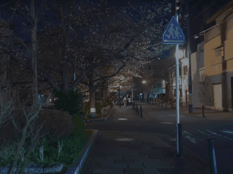 京都一梦，浮世万千皆是温柔与诗意 ✨：文章配图 7