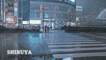 保姆级攻略‼️教你在日本雪夜，拍出刷爆朋友圈的霓虹大片📸：文章配图 2