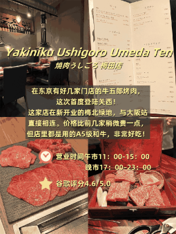 🔥 大阪本地人反复刷的5家烤肉店！牛舌/和牛/夜宵全攻略​​附预约技巧+省钱吃法！：文章配图 5