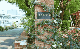 😭 后悔没早来！大阪这条City Walk路线我愿封神！：文章配图 3
