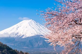 日本的名胜古迹有哪些？必去景点大盘点：文章配图 1