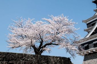 日本民宿预定必知：不同地区住宿的价格差异：文章配图 1