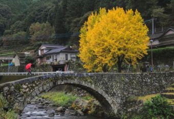 旅行预算紧张？这些大阪民宿性价比超高！：文章配图 1