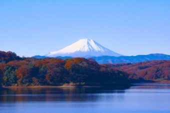 日本大阪好玩的地方推荐：美食、景点和民宿预订：文章配图 1
