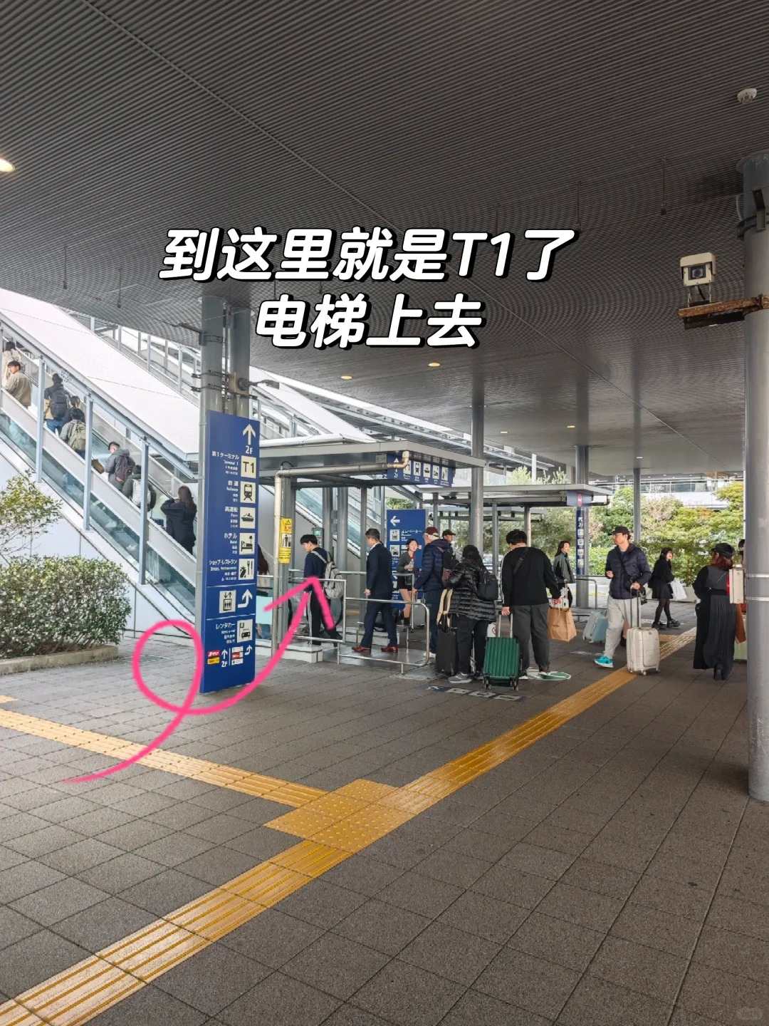 🔥关西T2红眼航班落地必看｜5分钟丝滑入境保姆级教程‼️：文章配图 16