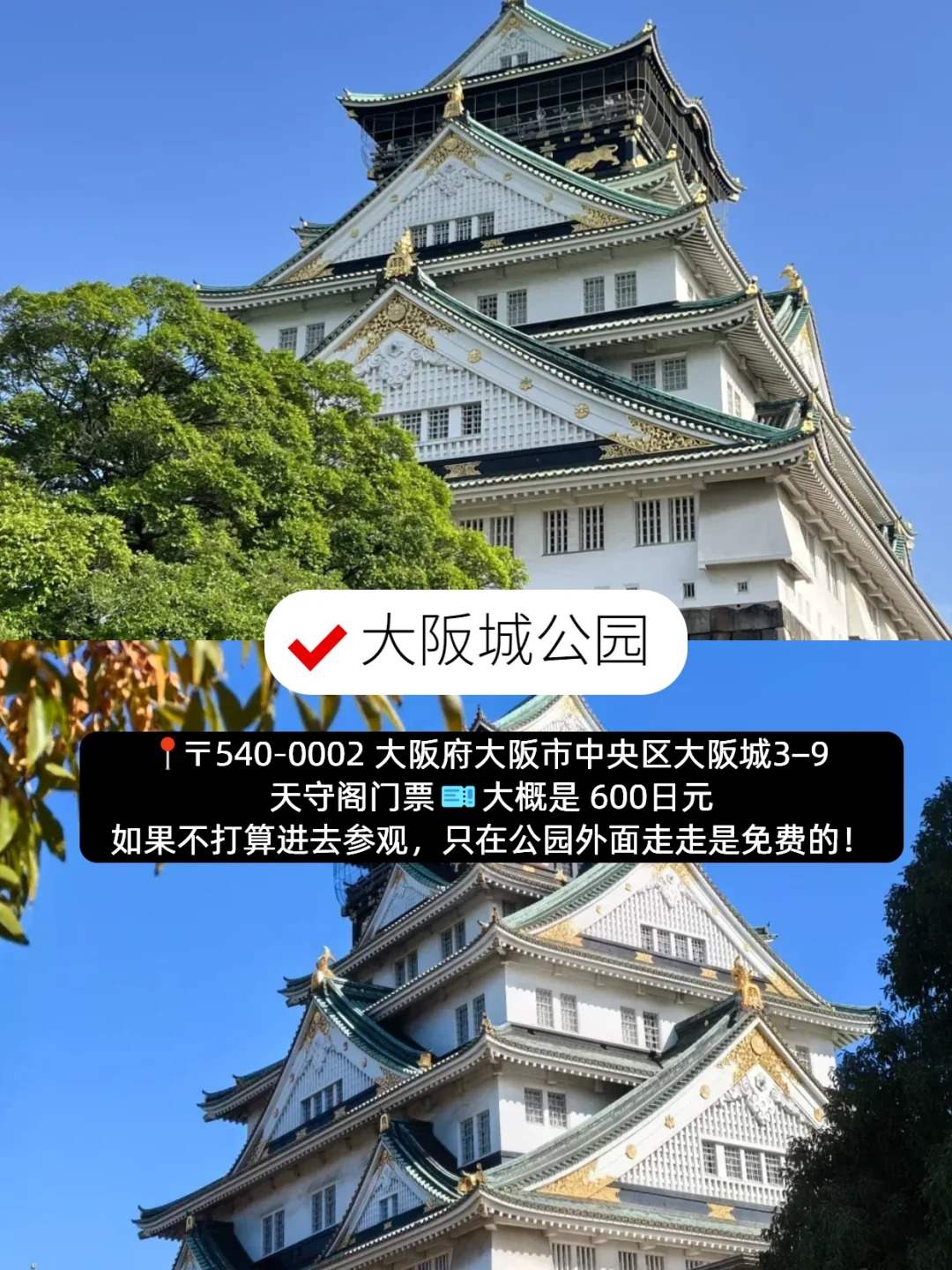 🔥大阪一日游攻略｜本地人看了都夸的精华路线！后悔没早刷到😭：文章配图 3