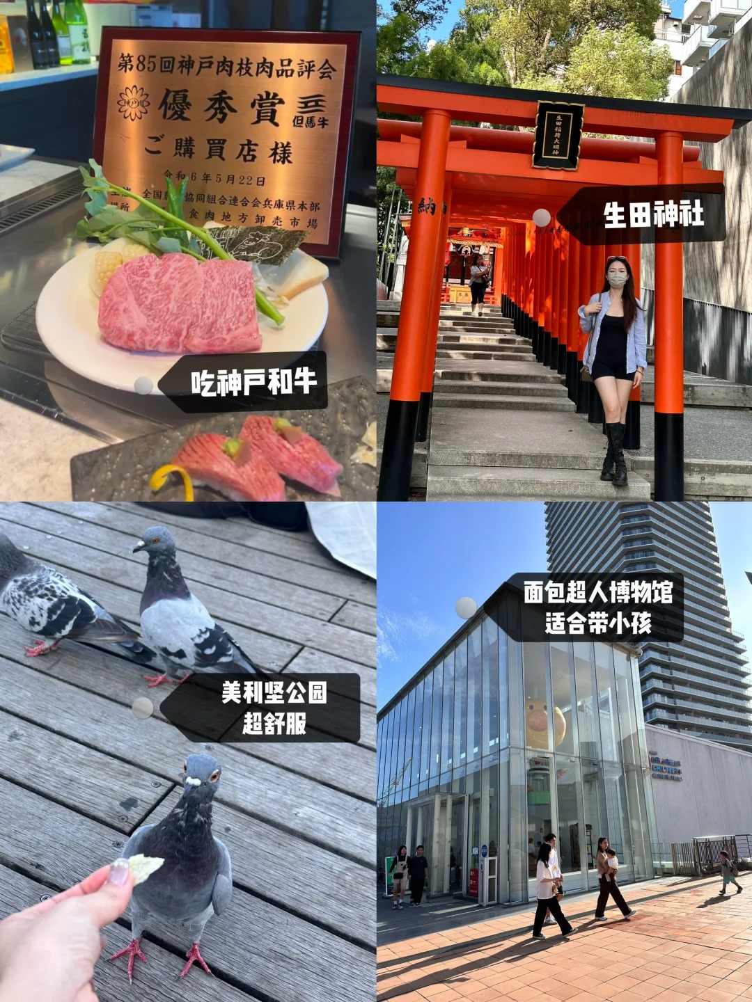 🔥暴走4天狂刷20+景点！大阪深度游路线直接抄作业（附避坑指南+私藏机位📸）：文章配图 9
