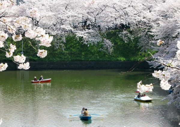 日本旅行参考配图(非宽居民宿实拍)
